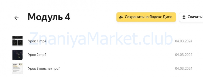[MoneyFest] Мастерская трейдинга: практика и заработок 2.0. Курс 2 месяц (Елизавета Романова) скрин на облаке, фото 2 из 2.