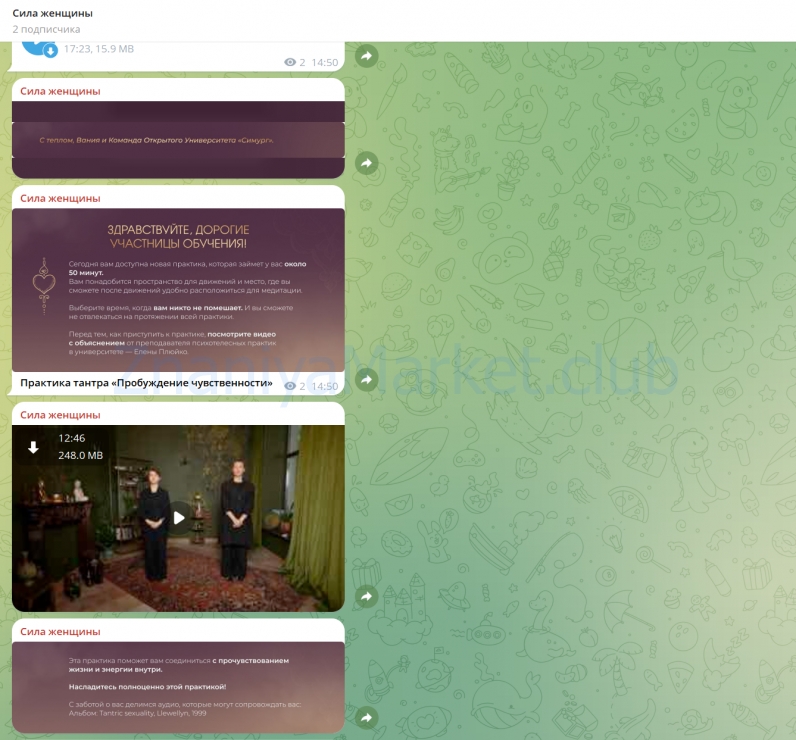 [Симург] Сила женщины. 3 поток. Тариф С ментором (Вания Маркович) скрин на облаке, фото 2 из 2.