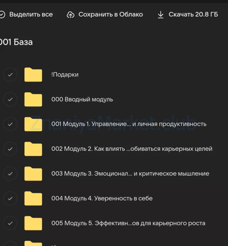 Метанавыки. Тариф Базовый (Анна Знаменская) скрин на облаке, фото 2 из 2.