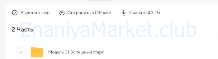 Proменеджер 2023. Тариф Pro менеджер (Олеся Кулик) скрин на облаке, фото 2 из 2.