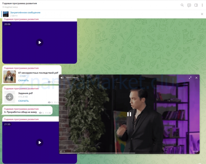 Thegame. Годовая программа развития (Петр Осипов) скрин на облаке, фото 2 из 2.