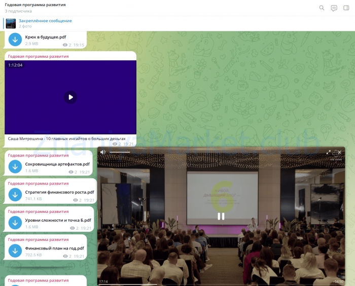 Thegame. Годовая программа развития (Петр Осипов) скрин на облаке, фото 2 из 2.