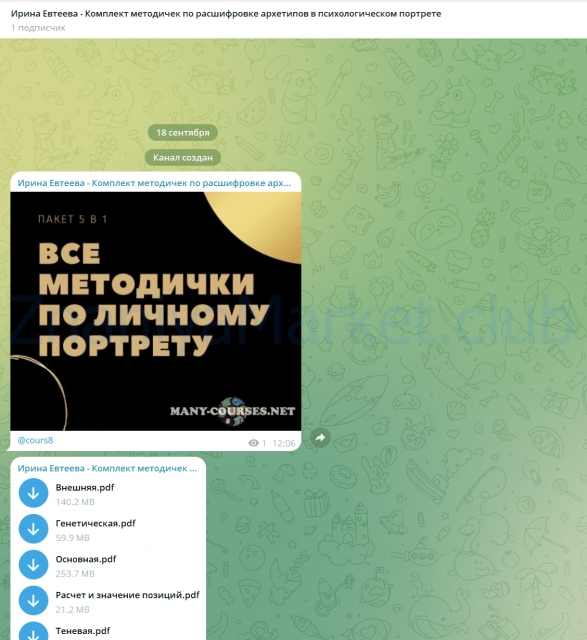 Комплект методичек по расшифровке архетипов в психологическом портрете (Ирина Евтеева) скрин на облаке, фото 2 из 2.