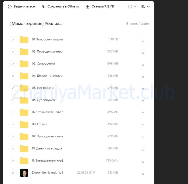 [Мама-терапия] Реализация и деньги (Дарья Гинзбург) скрин на облаке, фото 2 из 2.