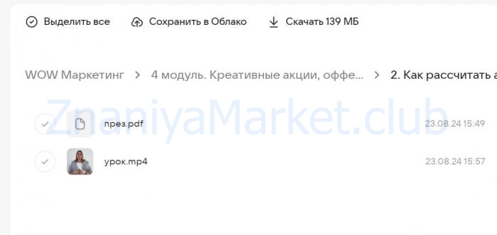 WOW.Маркетинг. Тариф Pro (Анастасия Полянская) скрин на облаке, фото 2 из 2.
