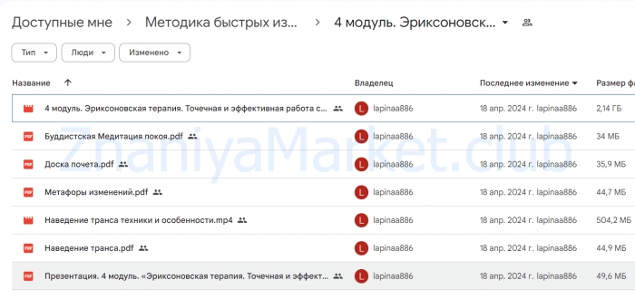 Методика быстрых изменений (Анна Лапина) скрин на облаке, фото 2 из 2.