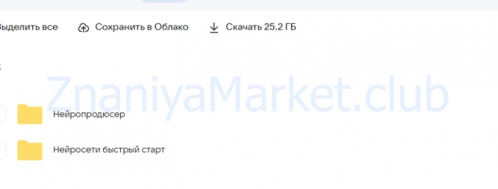 Нейропродюсер. Тариф Нейро-эксперт [Павел Лебедев] скрин на облаке, фото 2 из 2.