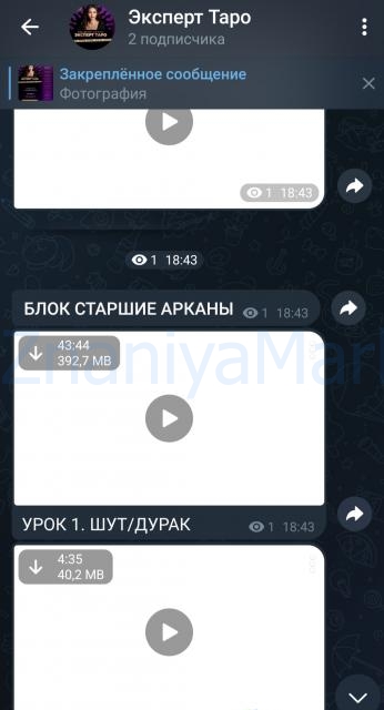 Эксперт таро, 5 поток. Тариф Персональный (Анастасия Лыкова) скрин на облаке, фото 2 из 2.