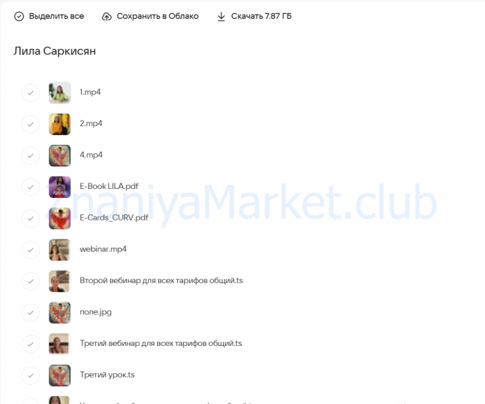 Лила - игра, меняющая жизнь. Тариф Мастер игры для себя (Анна Саркисян) скрин на облаке, фото 2 из 2.