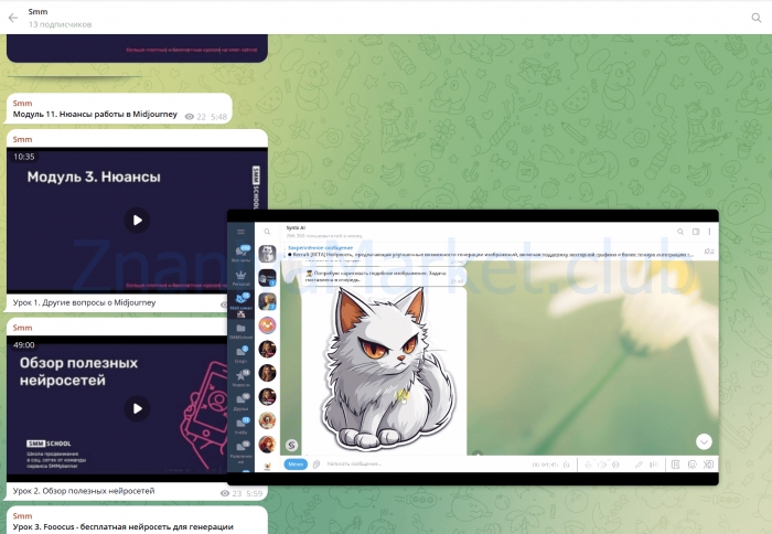 [SMM.school] Нейросети для smm щиков, экспертов и самозанятых. Тариф VIP (Артем Пыхтеев, Анна Гончарова) скрин на облаке, фото 2 из 2.