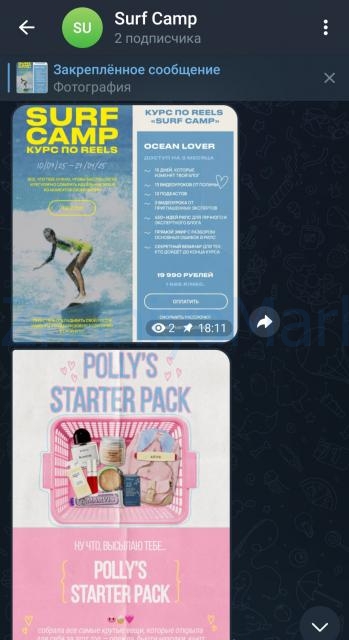 Курс по reels. Surf camp. Тариф Ocean Lover. Апрель 2025 (Полина Зиновьева) скрин на облаке, фото 2 из 2.