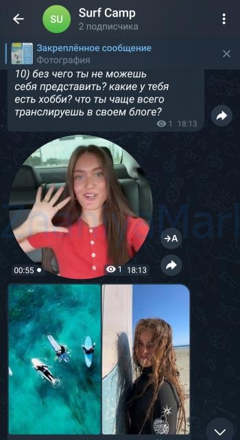 Курс по reels. Surf camp. Тариф Ocean Lover. Апрель 2025 (Полина Зиновьева) скрин на облаке, фото 2 из 2.