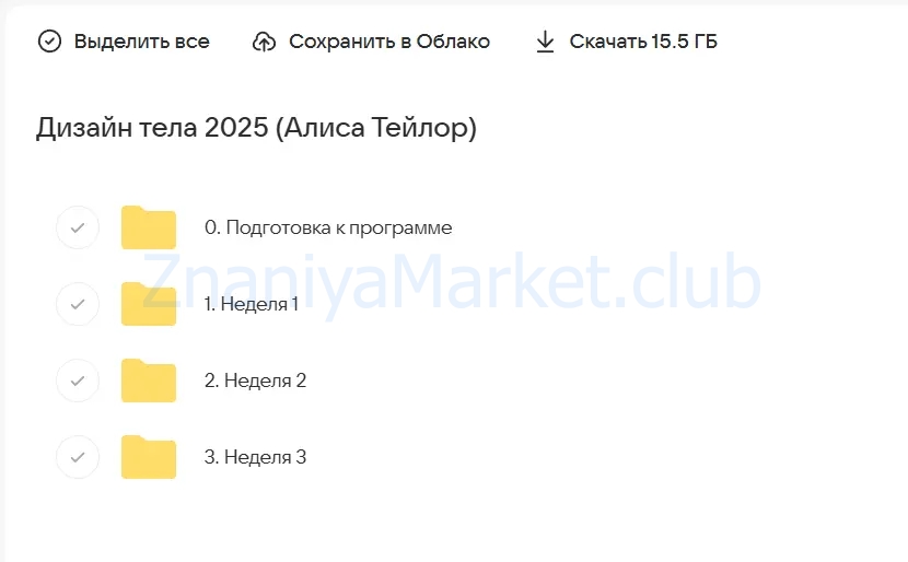 Дизайн тела 2025 (Алиса Тейлор) скрин на облаке, фото 2 из 2.