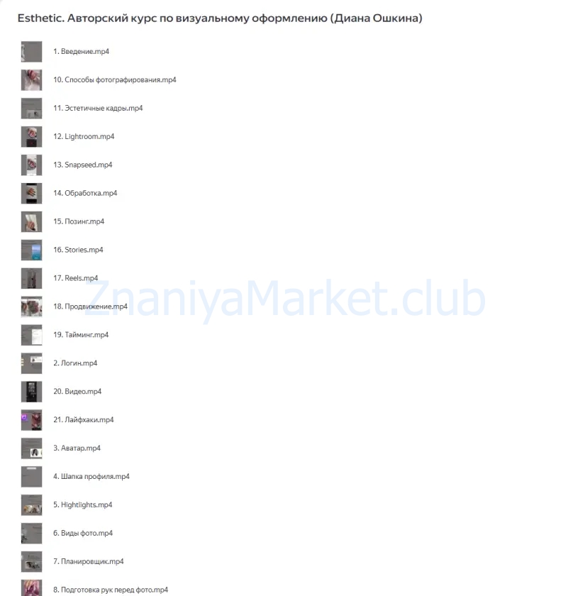 Esthetic. Авторский курс по визуальному оформлению аккаунта в Инстаграмм (Диана Ошкина) скрин на облаке, фото 2 из 2.