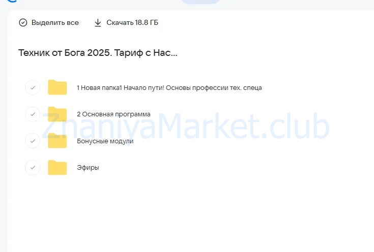 Техник от Бога 2025. Тариф с Наставником (Дмитрий Леншин, Иван Викторов) скрин на облаке, фото 2 из 2.