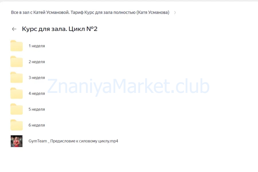Все в зал с Катей Усмановой. Тариф Курс для зала полностью (Катя Усманова) скрин на облаке, фото 2 из 2.