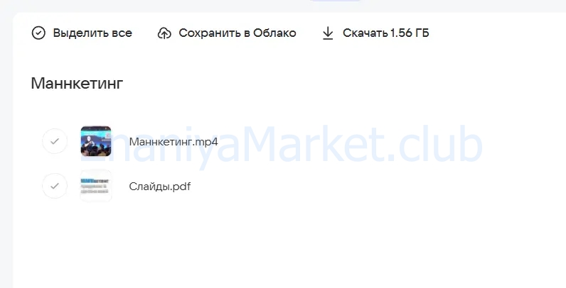 Маннкетинг. Самый личный мастер-класс по маркетингу. Пакет онлайн (Игорь Манн) скрин на облаке, фото 2 из 2.