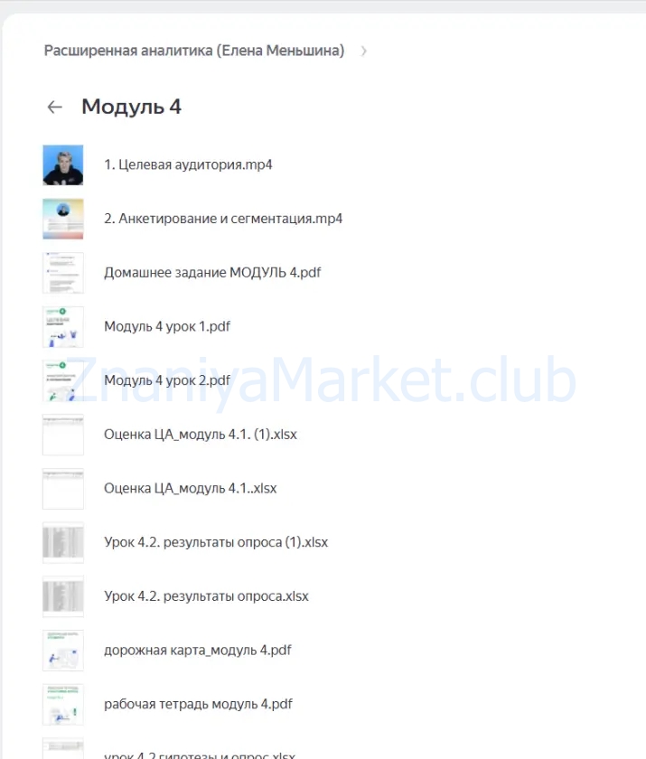 Аналитика расширенная (Елена Меньшенина) скрин на облаке, фото 2 из 2.