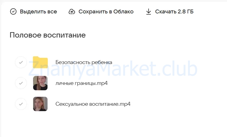 Половое воспитание. Границы. Безопасность. Полный пакет (Валентина Паевская) скрин на облаке, фото 2 из 2.