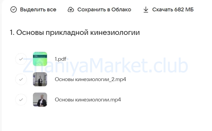 [KinesioLife] Семинар 1. Основы прикладной кинезиологии (Людмила Васильева) скрин на облаке, фото 2 из 2.