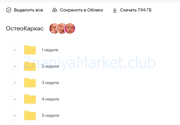 [Результат налицо] Остеокаркас. Первый поток (Вера Красивая, Зулай Гасанова) скрин на облаке, фото 2 из 2.
