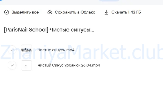 [ParisNail School] Чистые синусы (Эльмира Урбанюк) скрин на облаке, фото 2 из 2.