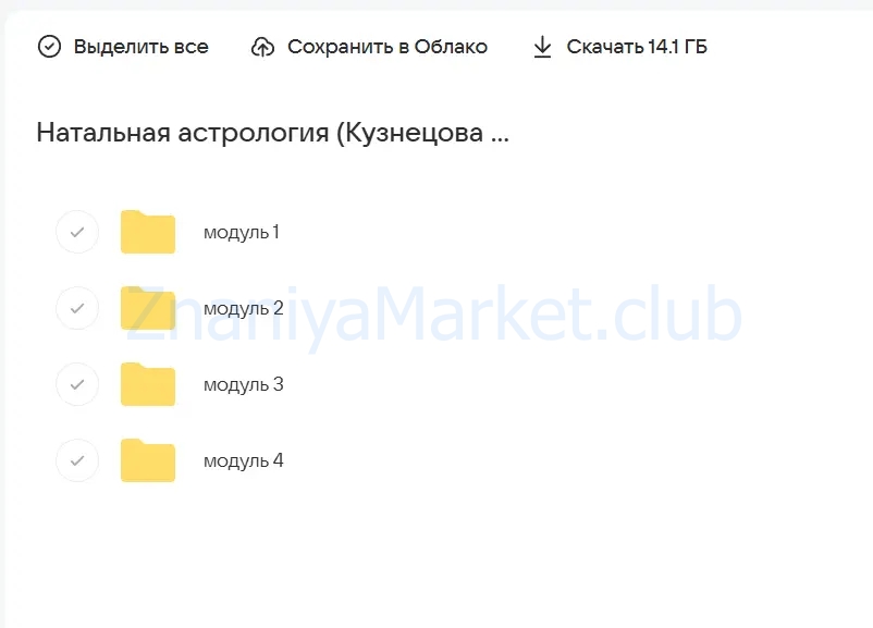 [kosmo_woman] Натальная астрология 4.0. Тариф Профессиональный (Екатерина Кузнецова) скрин на облаке, фото 2 из 2.