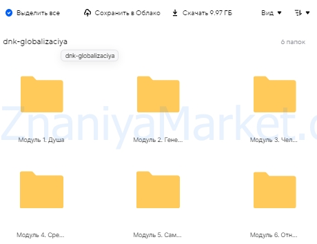 ДНК: Глобализация. Тариф Монетизация (Екатерина Кравц) скрин на облаке, фото 2 из 2.