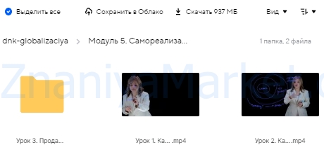ДНК: Глобализация. Тариф Монетизация (Екатерина Кравц) скрин на облаке, фото 2 из 2.