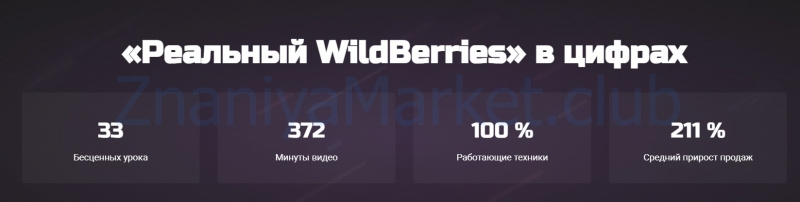 [wbstat.pro] Реальный WildBerries. Тариф Только тренинг (Дмитрий Астраков) скрин на облаке, фото 2 из 2.