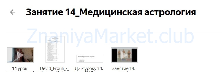 Ведический астролог. Джйотиш. Пакет Специалист (Елена Литвинова) скрин на облаке, фото 2 из 2.