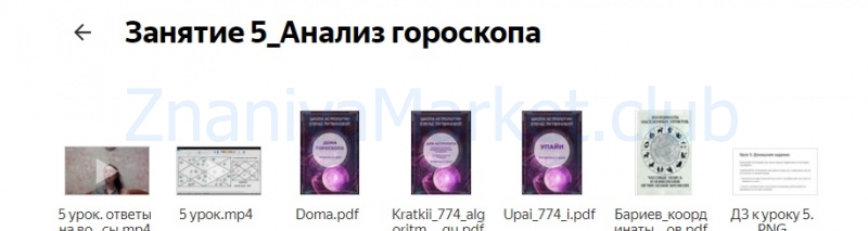 Ведический астролог. Джйотиш. Пакет Специалист (Елена Литвинова) скрин на облаке, фото 2 из 2.